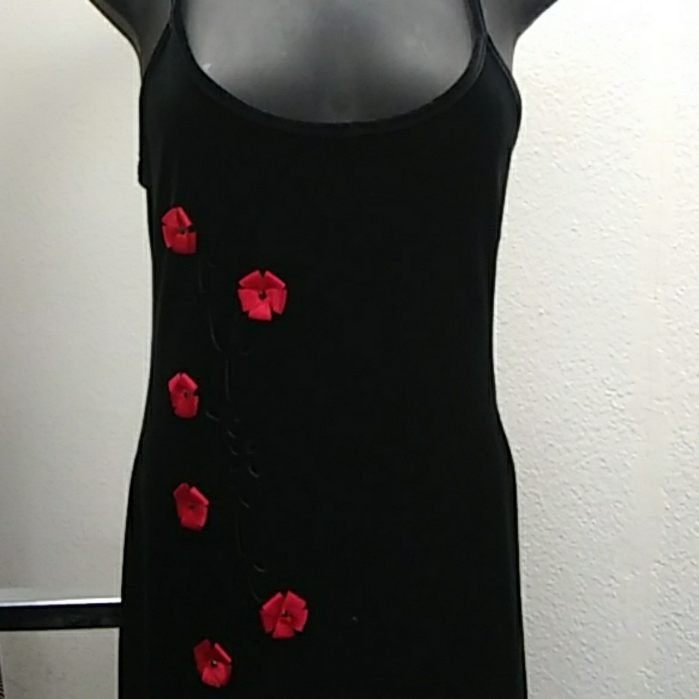 Long Evening DRESS